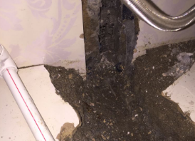 临城卫生间测漏水哪家好