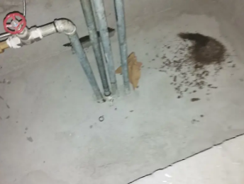 临城卫生间测漏水价格明细